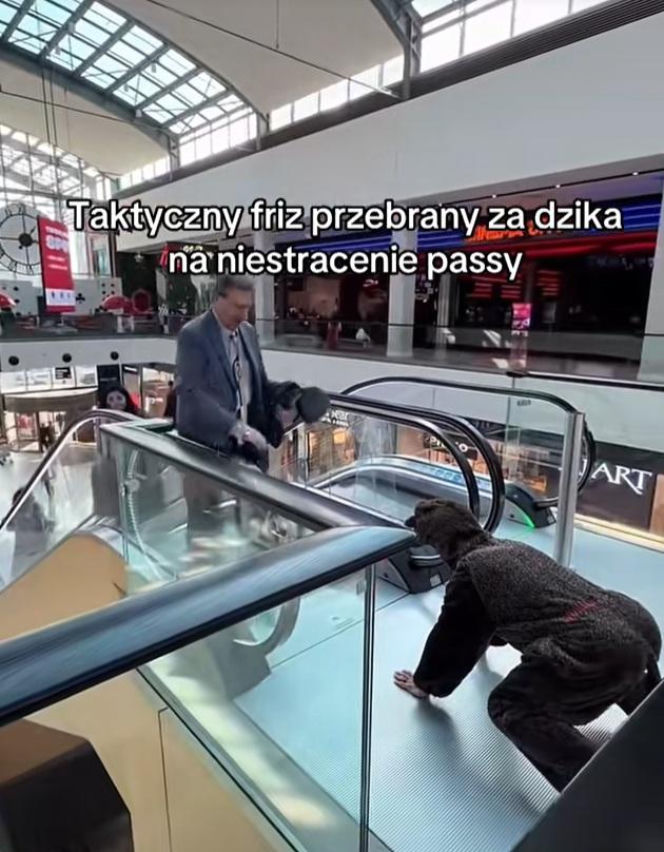 Friz przebrany za dzika