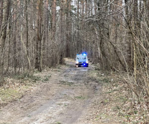 Drzewo runęło na mężczyznę w Emowie. Zginął na miejscu
