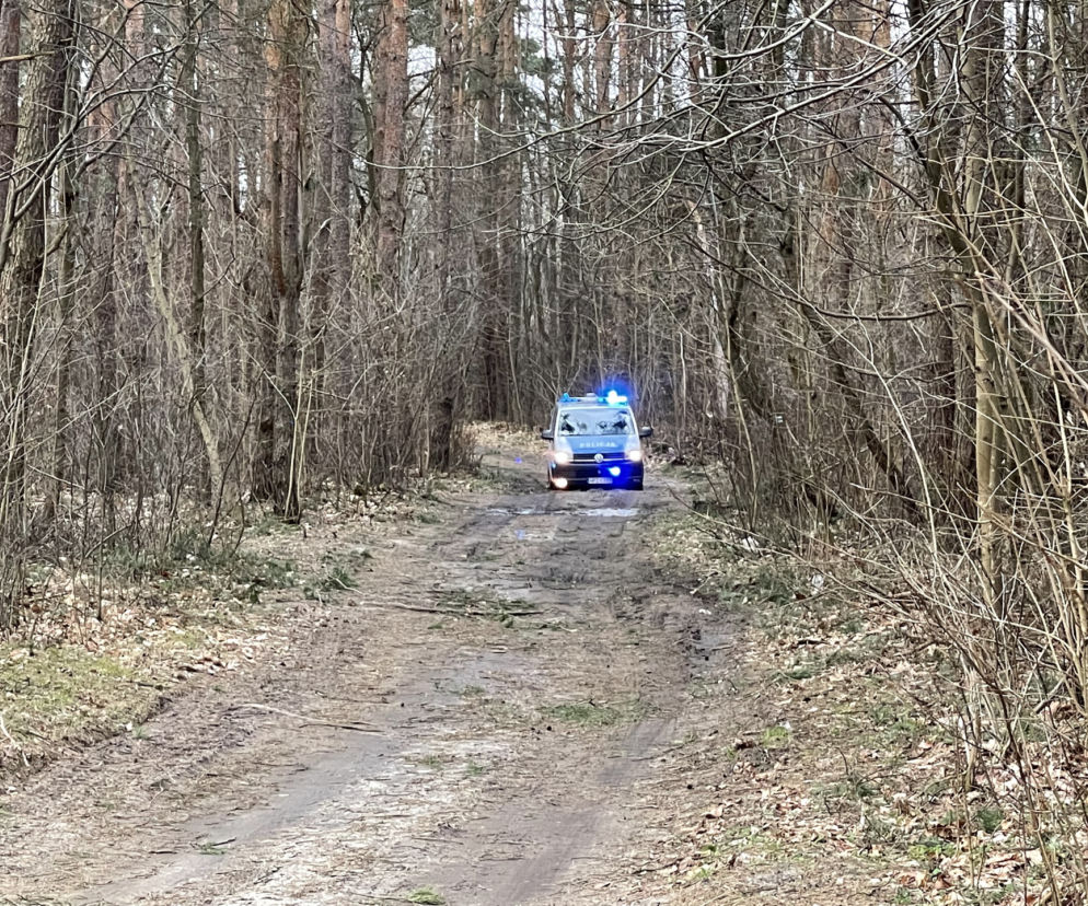Drzewo runęło na mężczyznę w Emowie. Zginął na miejscu