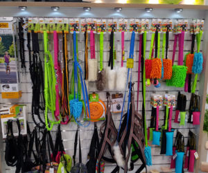 Targi PET EXPO 2019 w Bydgoszczy 