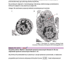 Próbna matura 2026 biologia. WSZYSTKIE arkusze CKE i odpowiedzi 14.01.