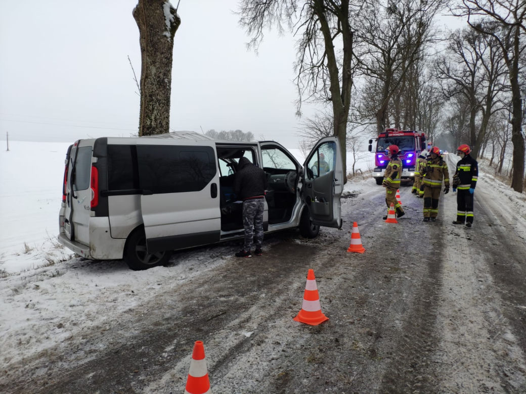 Bus uderzył w drzewo. Na szczęście podróżującym nic się nie stało [ZDJĘCIA]