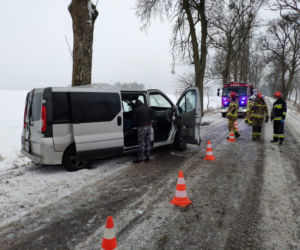 Bus uderzył w drzewo. Na szczęście podróżującym nic się nie stało [ZDJĘCIA]