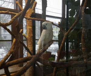 ZOO Toruń zaprasza!