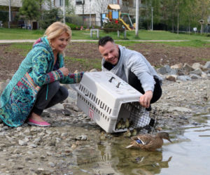 Majka Jeżowska ratuje kaczki