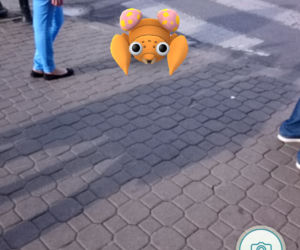 Pokemony opanowały Lublin