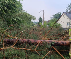 Burzowa dobra w Świętokrzyskiem
