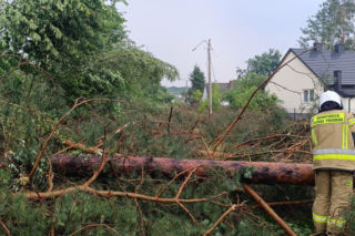 Burzowa dobra w Świętokrzyskiem