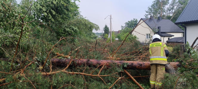 Burzowa dobra w Świętokrzyskiem