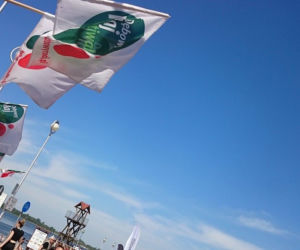 Dębowy Maj Festiwal 2018