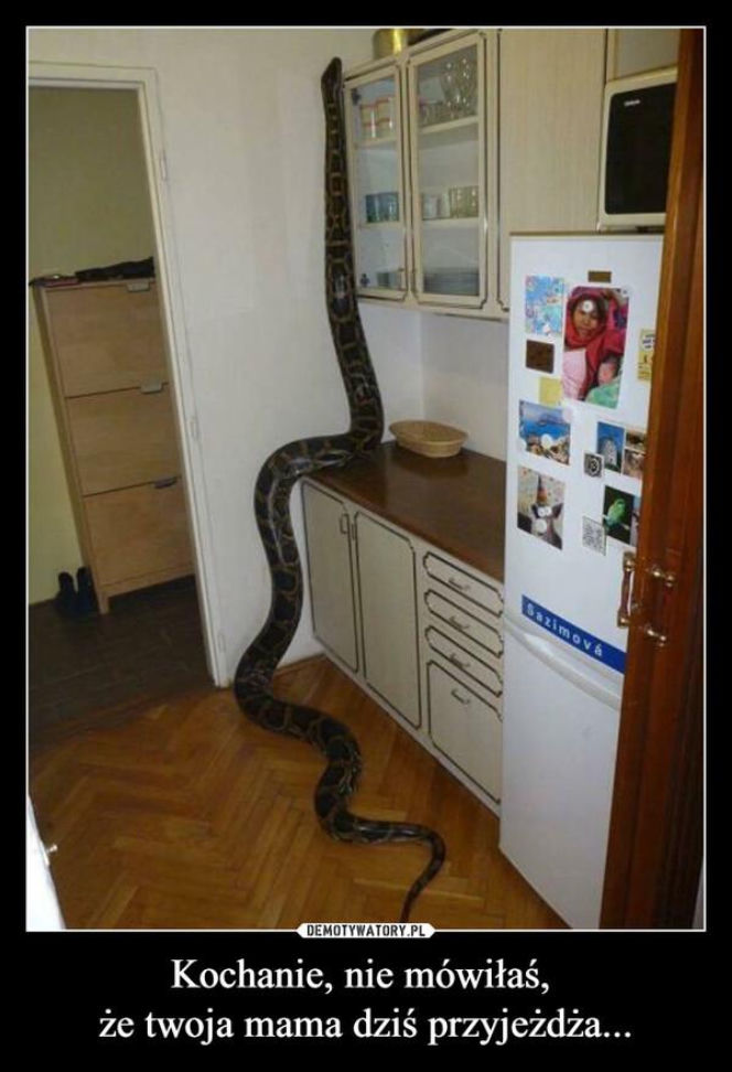 Tych memów o teściowych nie pokażesz mamie! Internauci nie mają litości