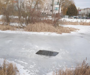 Rybi dramat w Białymstoku. Tysiące martwych ryb pod lodem