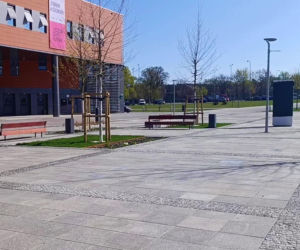 Przed halą Enea Arena powstaje Aleja Szczecińskich Olimpijczyków