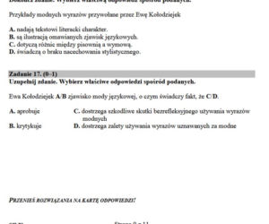 Egzamin gimnazjalny, język polski ARKUSZE
