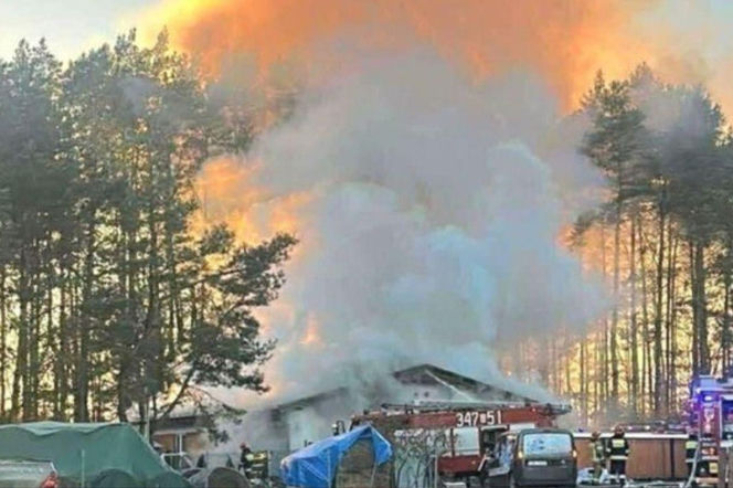 Pożar w schronisku na Pomorzu. Zwierzęta uratowane, ale budynek w ruinie. Trwa zbiórka