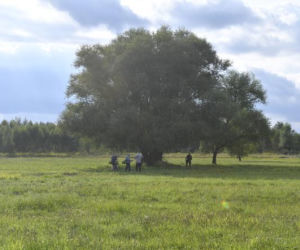 Zuzia z koleżanką powiesiły się na wierzbie. Jakie tajemnice śmierci dziewczynek zdradziła sekcja? 