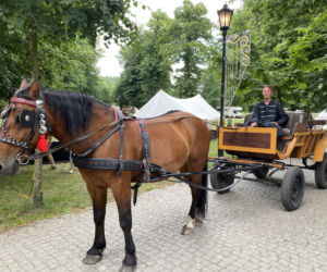 Eska Summer City 2021: zobacz, jak się bawiła ekipa w zeszłym tygodniu [ZDJĘCIA]