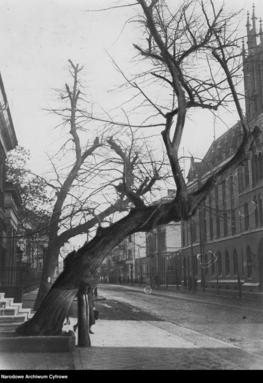 Tak wyglądała Bydgoszcz w latach 30. ubiegłego wieku! Zobacz archiwalne zdjęcia