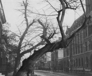Tak wyglądała Bydgoszcz w latach 30. ubiegłego wieku! Zobacz archiwalne zdjęcia