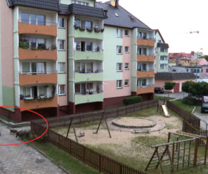 DZIKI ODWIEDZIŁY PLAC ZABAW - INTERWENIOWAŁA STRAŻ POŻARNA.