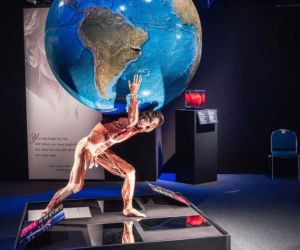 Body Worlds