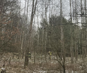 Tajemnicze zaginięcie pod Puławami. Gdzie jest 45-letni Tomasz Wiśniecki?