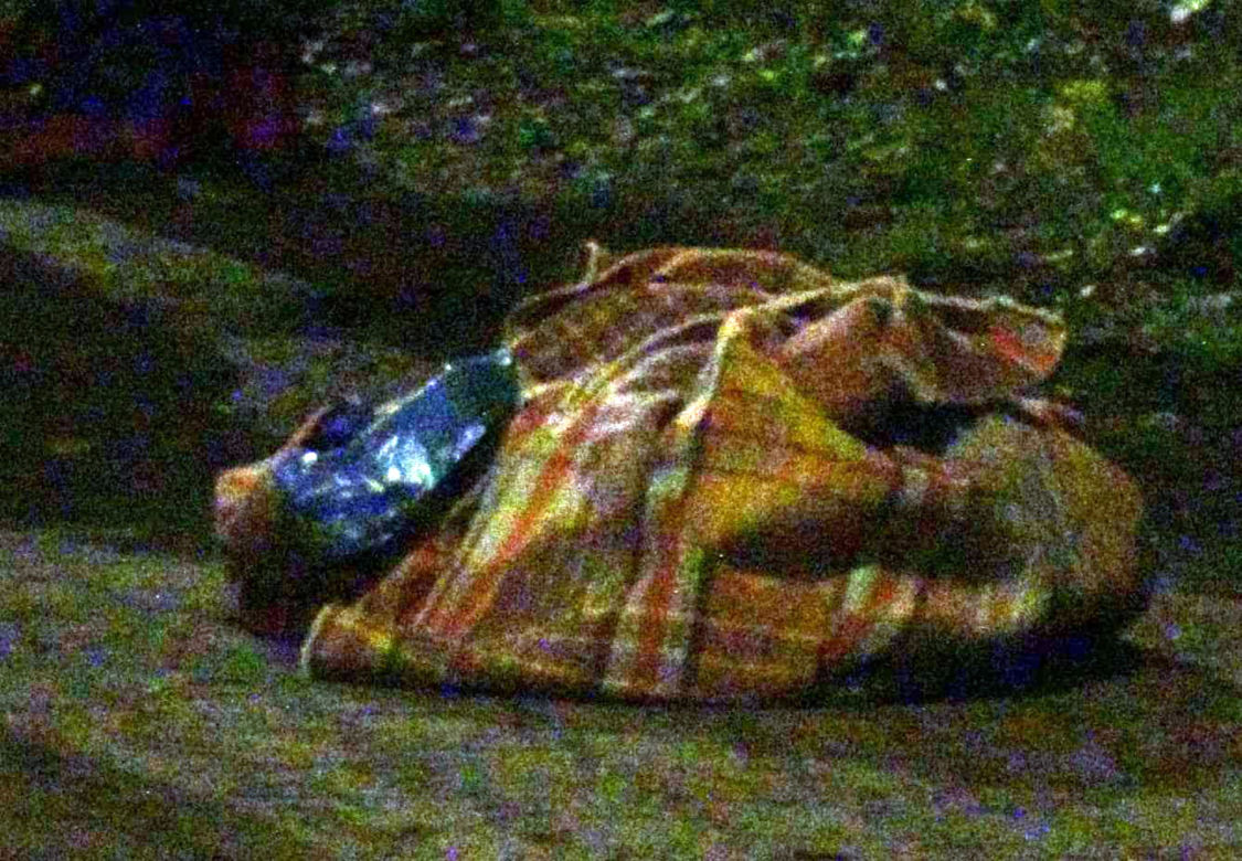 Wypadek w Błoniu. Wyszła na spacer z psem, wjechał w nią fiat. Tragiczny finał