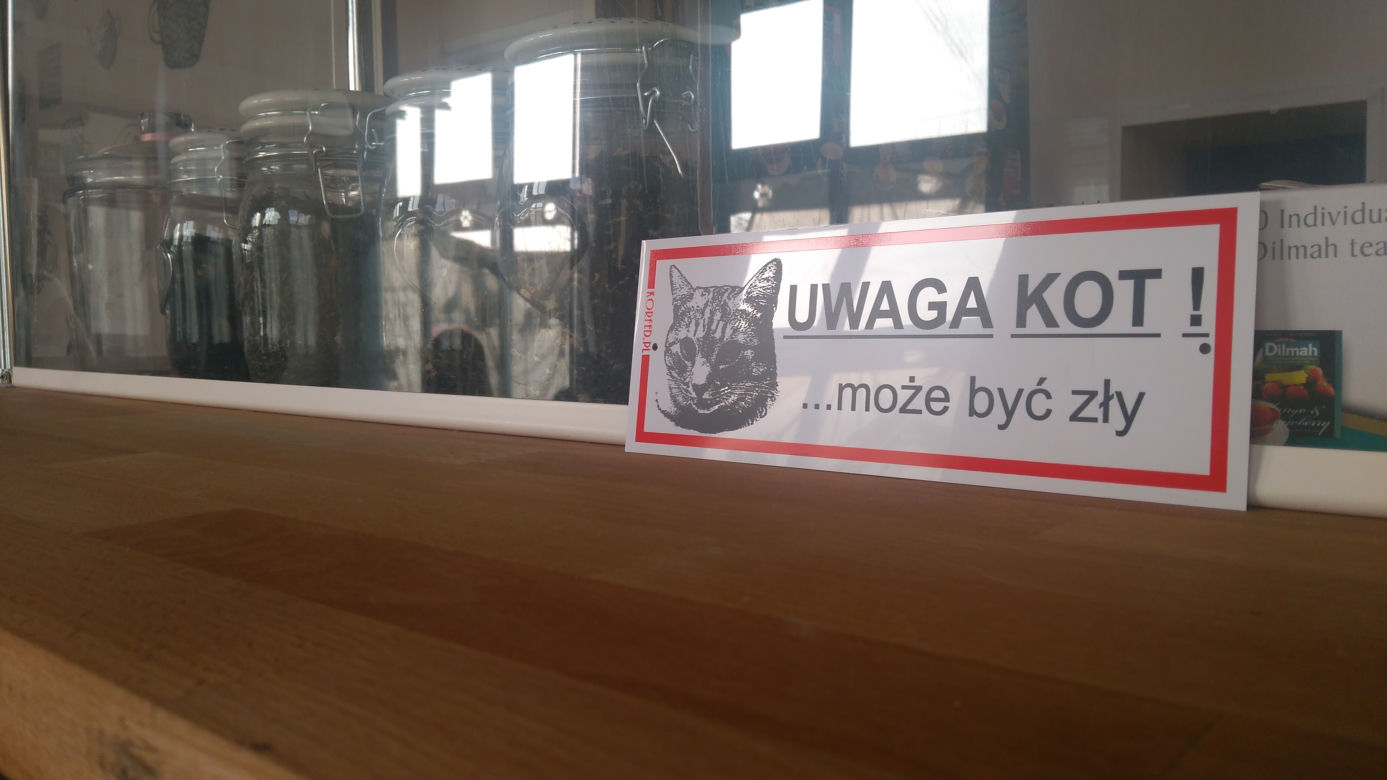 Kot Cafe