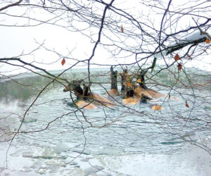 Łowcy jeleni