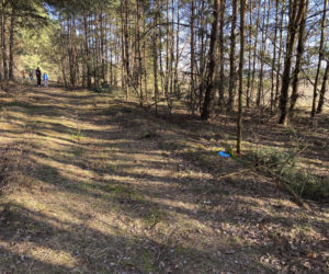 Światowa prasa pisze o śmierci Magdaleny Majtyki! Mówią o tajemnicy