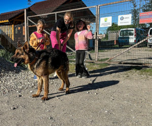 Perszing wrócił do dzieci! Ale to nie koniec dramatu rodziny z Braniewa