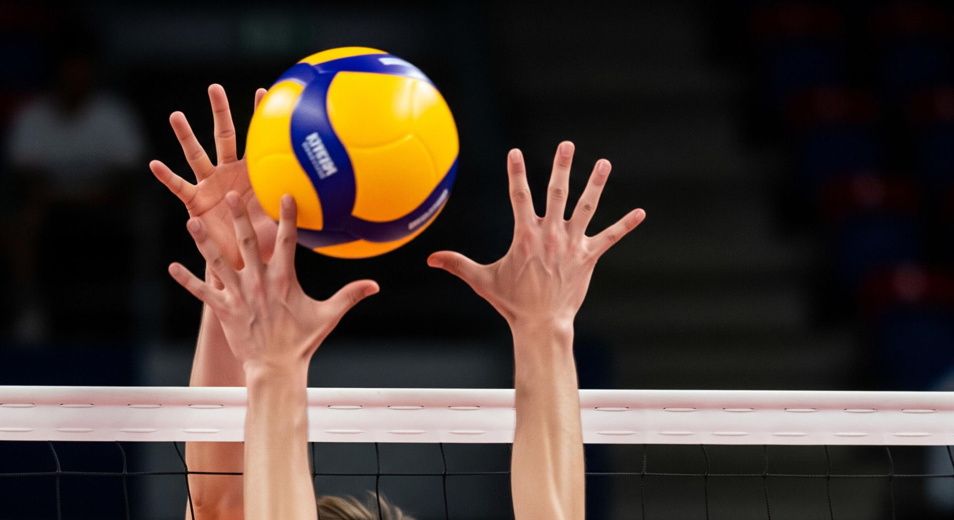 Ekstraklasa siatkarzy: Skra Bełchatów pokonuje Cuprum Stilon. Co ...