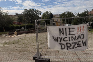 Protest mieszkańców nie pomógł. Świerki i modrzewie na Placu Drzewnym w Tarnowie zostały wycięte