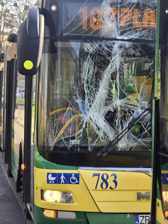 Zderzenie autobusów w Szczecinie 
