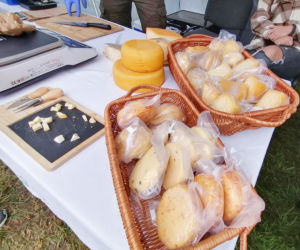 Pomarańczowi rowerzyści najechali zamek w Szymbarku