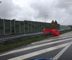 Śląskie: Drastyczne sceny na A1! Wyszedł z samochodu po wypadku i został ROZJECHANY