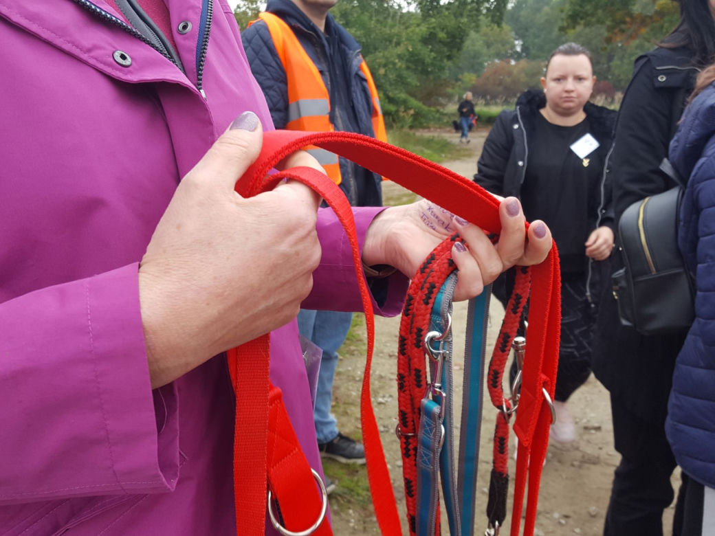 ​Szczeniak i kot znalazły nowy dom. To pierwsze efekty sobotniej akcji "Bieg + 4 Łapy" koło Leszna