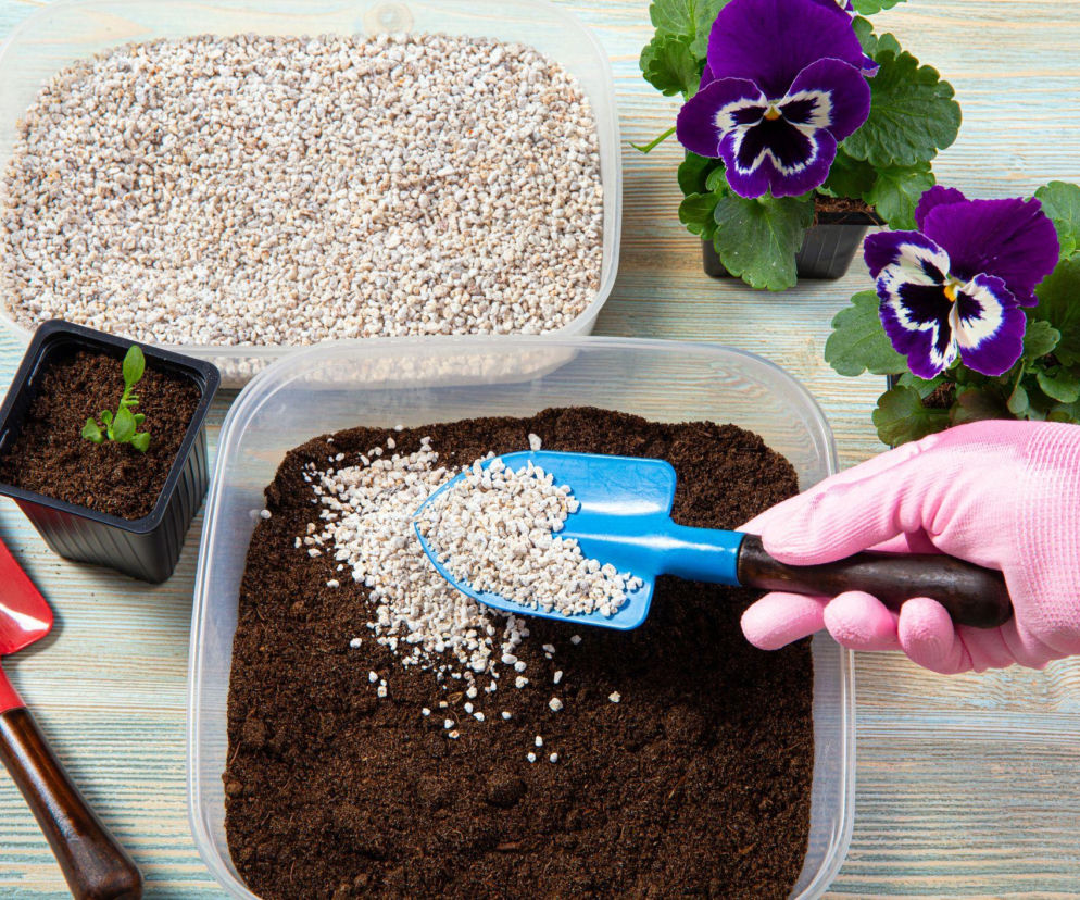 Dlaczego warto dodać perlit do ziemi w uprawie roślin?