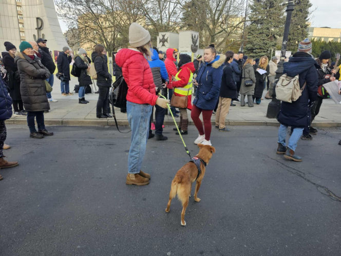 Protest przed Sejmem (17.12.2025)