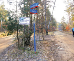 Lasy pełne śmieci