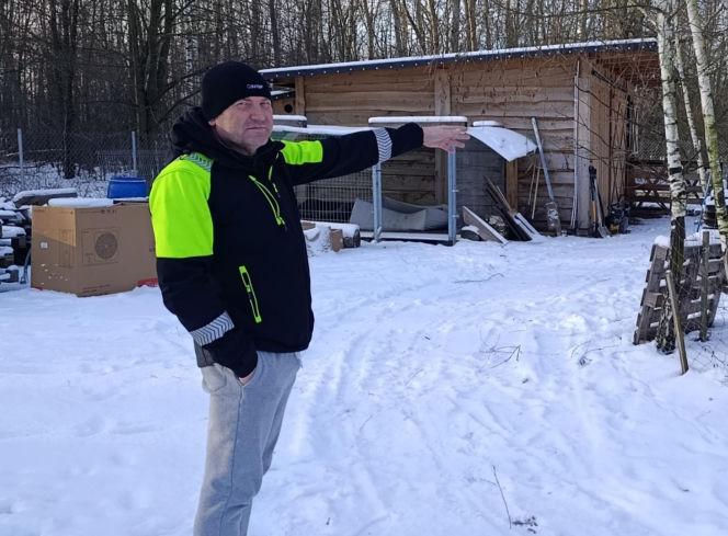 Wataha psów zaatakowała pod Siedlcami