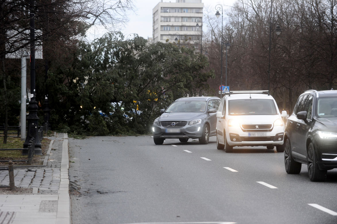 Warszawa: Al Ujazdowskie, potężne drzewo spadło na autobus i zablokowało ulicę