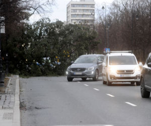 Warszawa: Al Ujazdowskie, potężne drzewo spadło na autobus i zablokowało ulicę