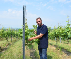 Dariusz Rosół. Pierwszy winiarz w Polsce, który może robić wino mszalne