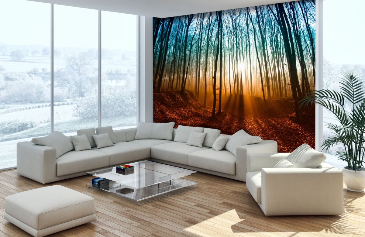 Fototapety ścienne - inspiracje zdjecie nr 5