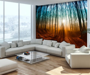 Fototapety ścienne - inspiracje zdjecie nr 5