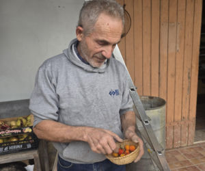 Piadina romagnola - duma regionu Emilia-Romania. Spotkanie z włoską tradycją w wiosce Montetiffi