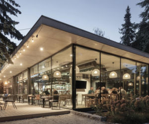 Food Fort na Ostrowie Tumskim