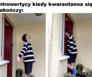 Memy o kwarantannie