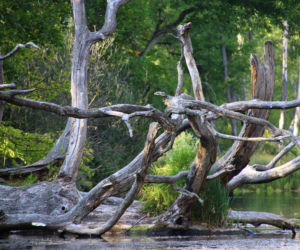Mazury w zestawieniu TOP 10 najpiękniejszych miejsc na wakacje w Europie